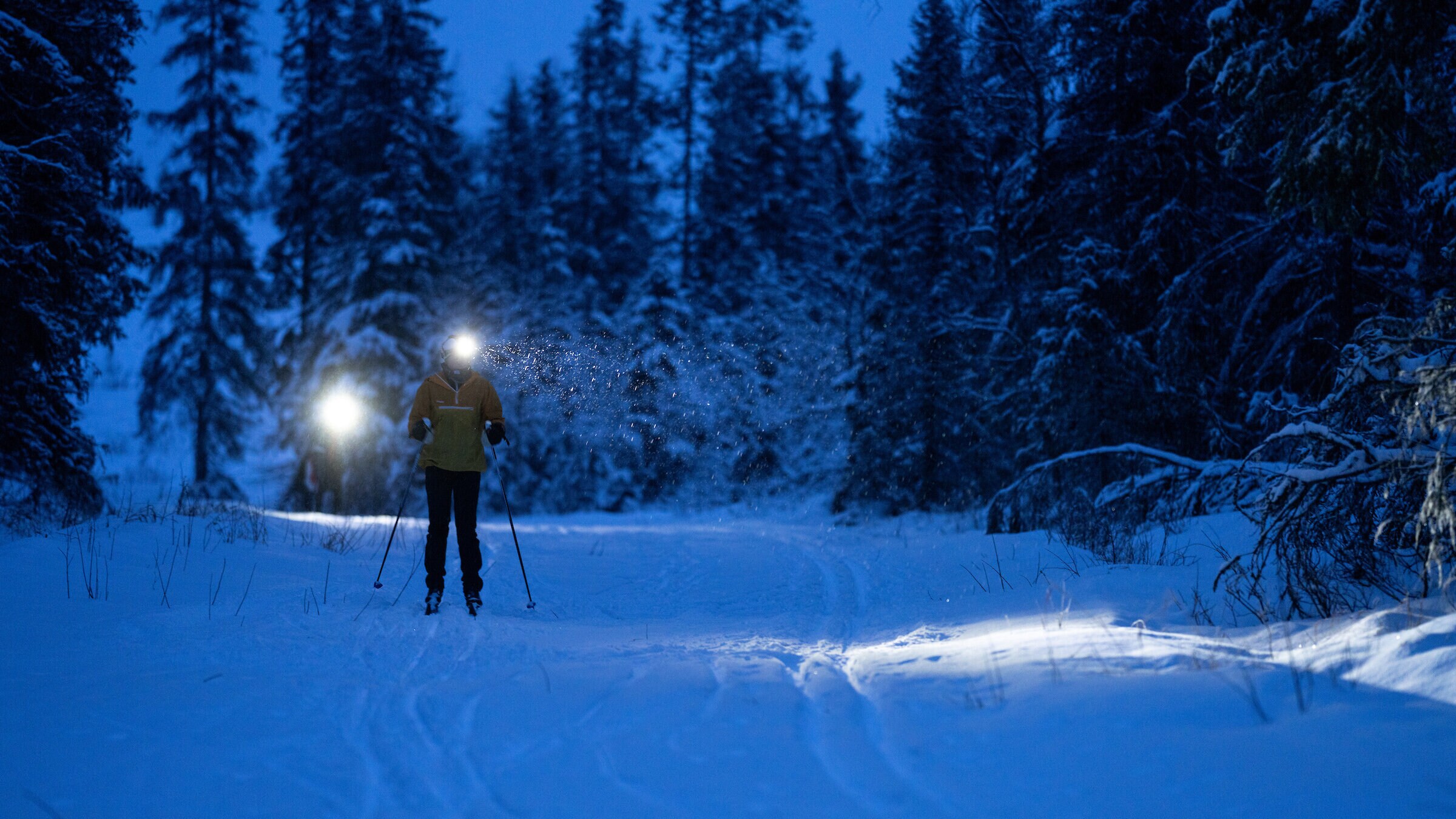 https://www.ledlensershop.se/pub_docs/files/Hodelyktertilski/Langrenn1.jpg